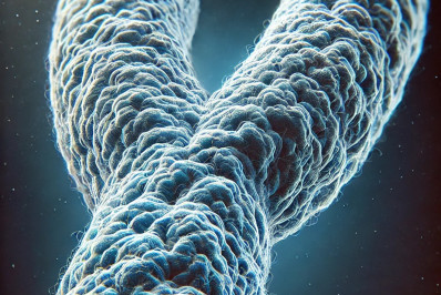 Mutação nos testículos pode levar à extinção dos homens, dizem cientistas