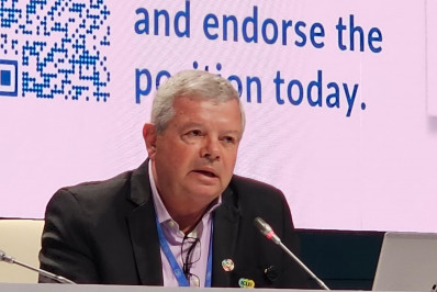 COP 29: Niterói é destaque na conferência da ONU para o Clima