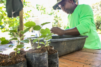 Governo do Rio inicia fase final do maior programa de restauração florestal da Mata Atlântica