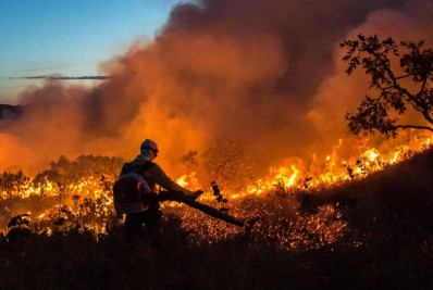 ICMBio lança ferramenta para monitorar focos de incêndio
