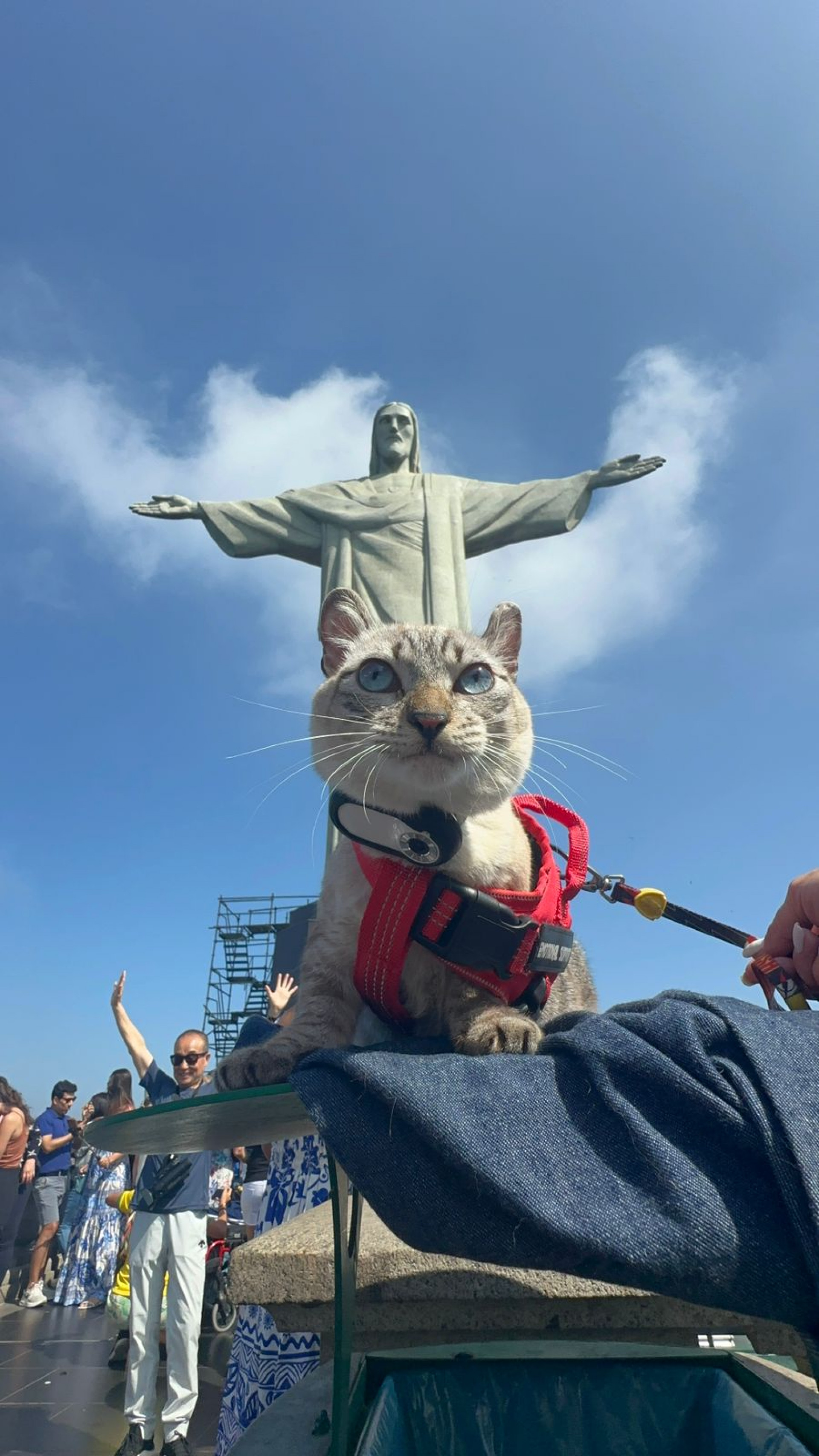 Visita ao Cristo Redentor - Divulga&ccedil;&atilde;o