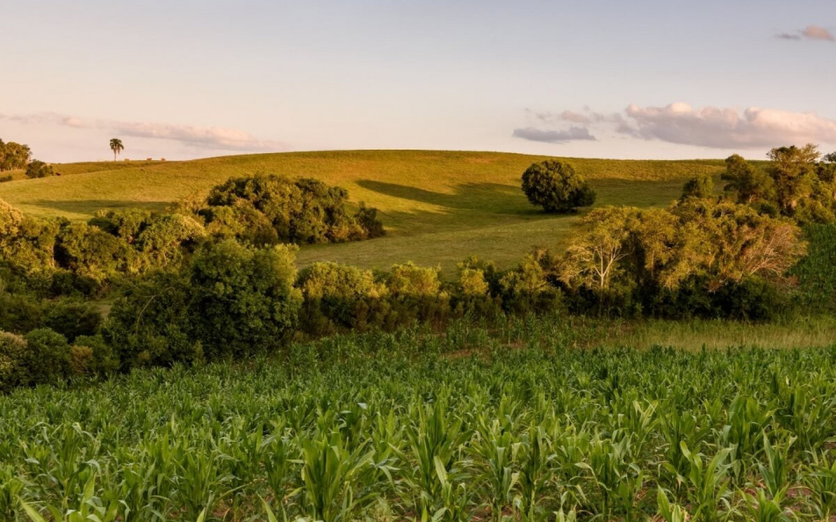 Na viagem com o Trem dos Pampas &eacute; poss&iacute;vel conhecer a regi&atilde;o da fronteira do Brasil com o Uruguai (Imagem: DR Moura | Shutterstock)