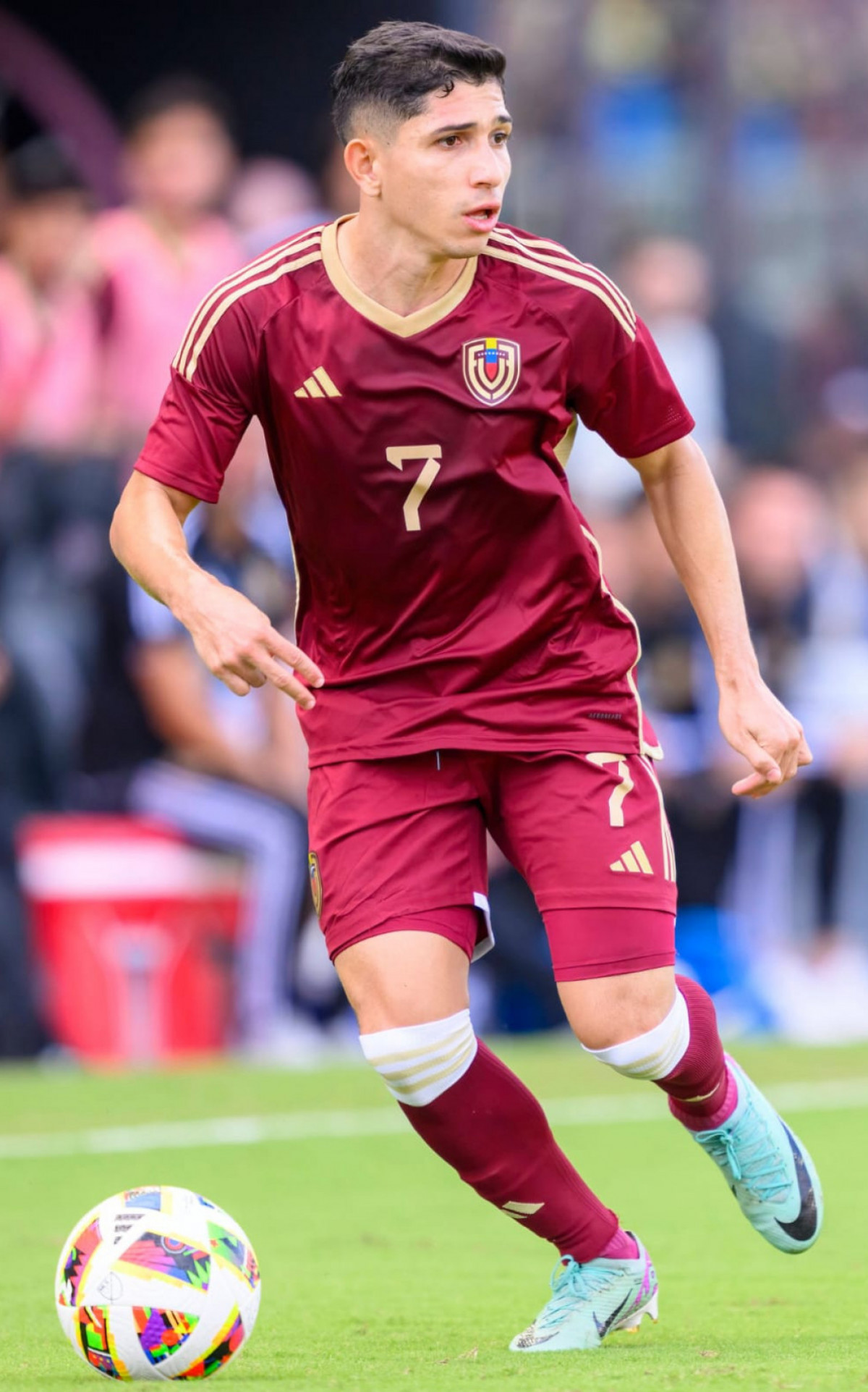 Savarino - Divulga&ccedil;&atilde;o / FVF