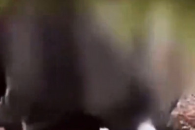 Jovem é estrangulada pelos pais em frente à escola após fugir de casamento forçado