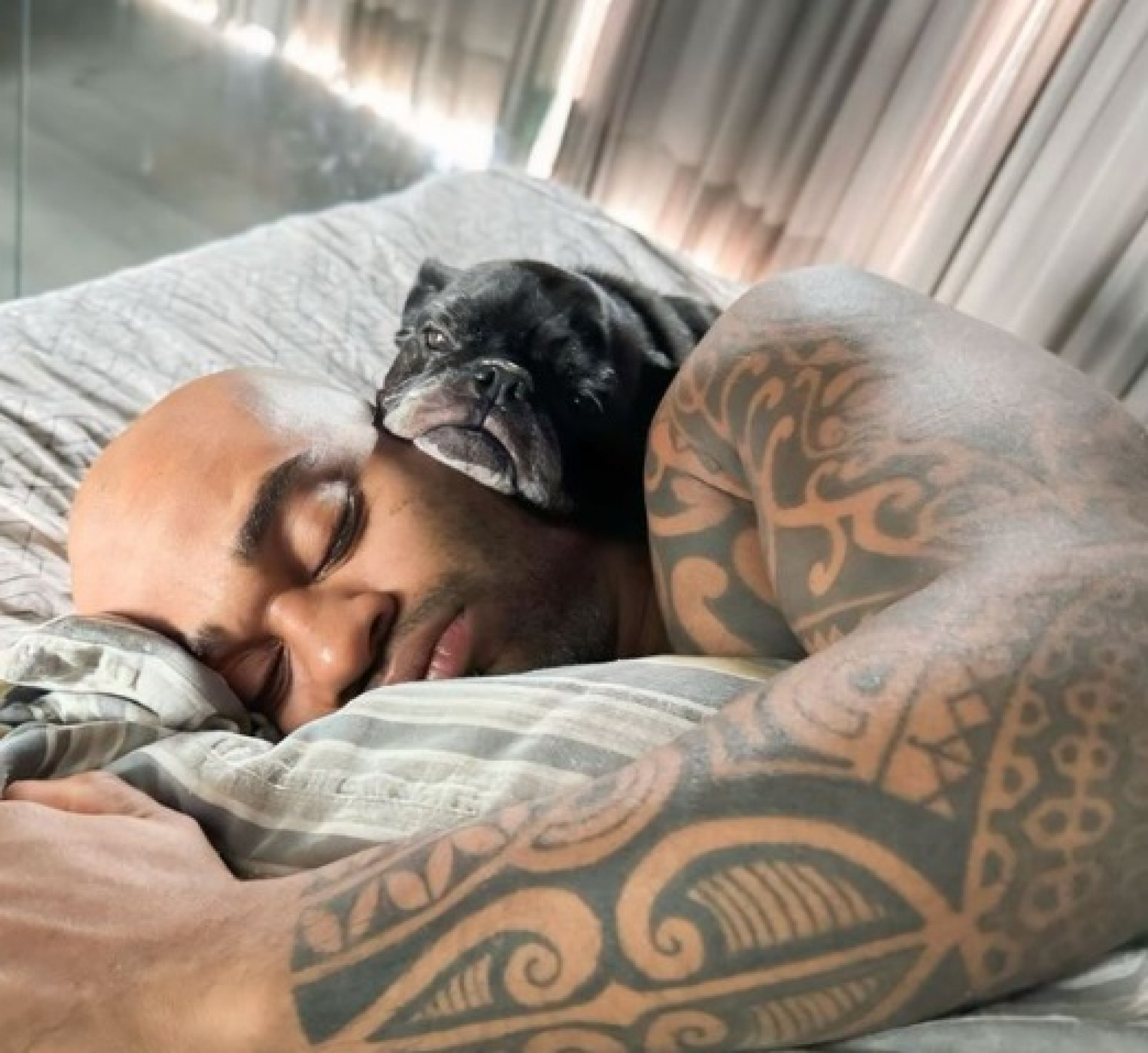 Rocco, cachorrinho de Cezar Black, enfrenta problema de saúde - Reprodução/Instagram 