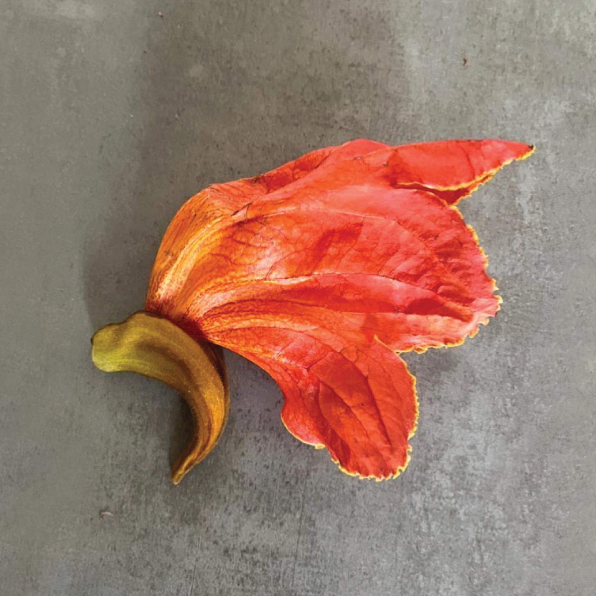 Capa do livro 'Intermitências Apenas' - Divulgação 