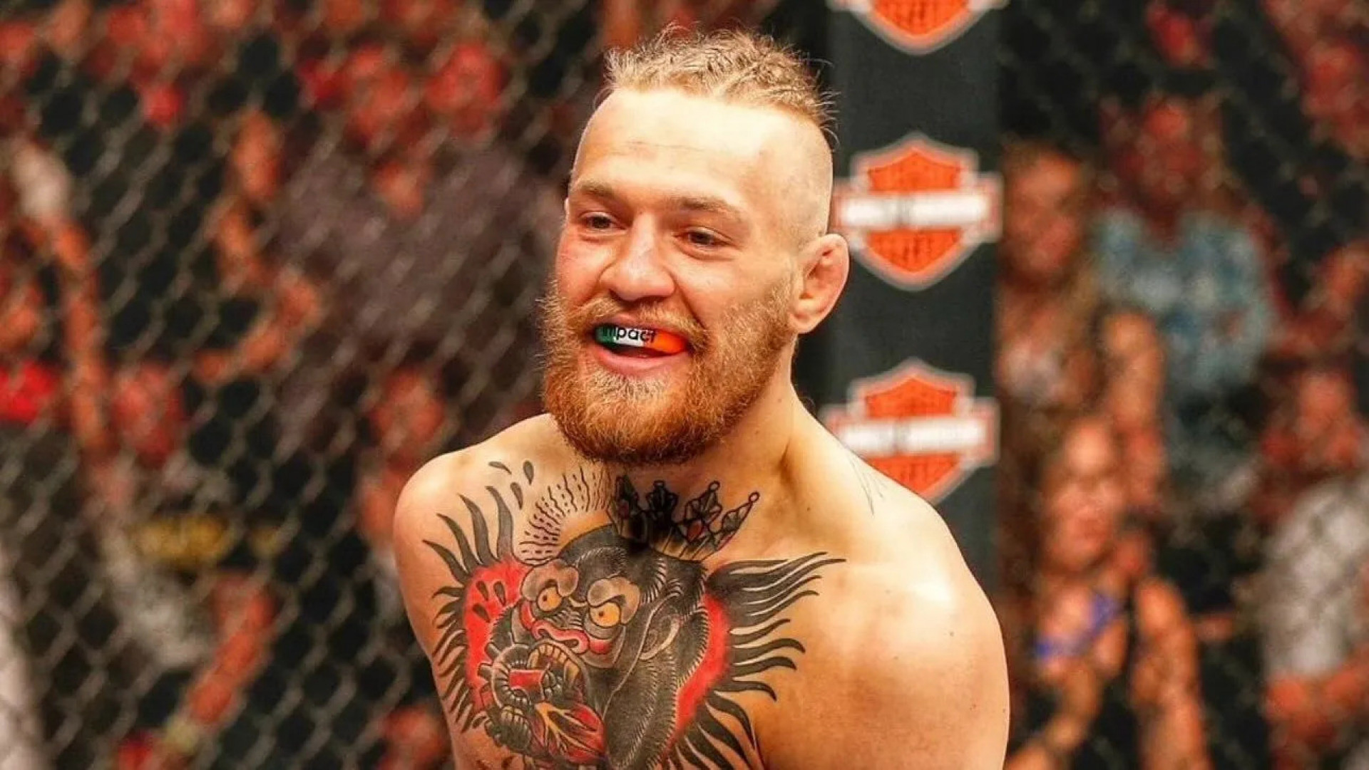 Conor McGregor é uma das estrelas do UFC - Reprodução/Instagram