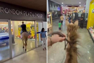 Vídeo: jovem entra em shopping montado em mula e viraliza nas redes sociais