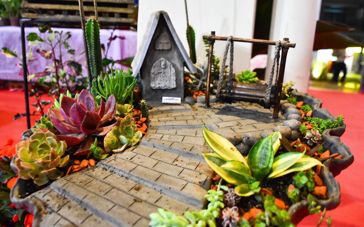 Além da exposição de orquídeas, bromélias e suculentas, evento contou com
shows de artistas locais todas as noites
