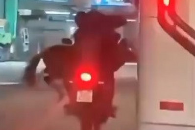 Vídeo: Cavalo é transportado por duas pessoas em uma moto em Nova Iguaçu