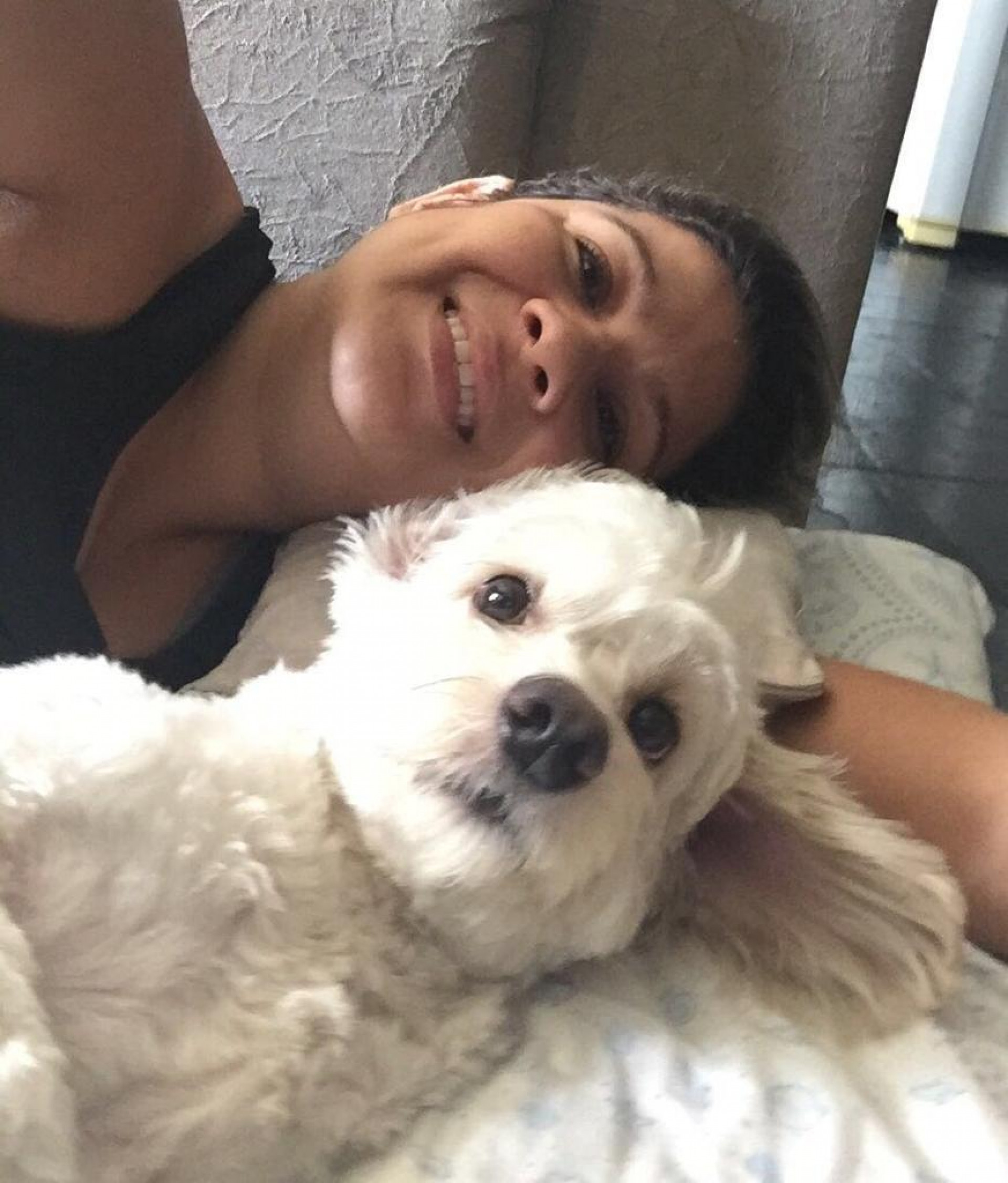 Kit Nelson: o cão que marcou a vida da enfermeira Anne por uma década - Divulgação