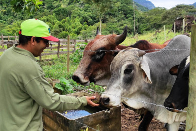 Criadores terão prazo final para atualizar cadastro em Rio das Ostras