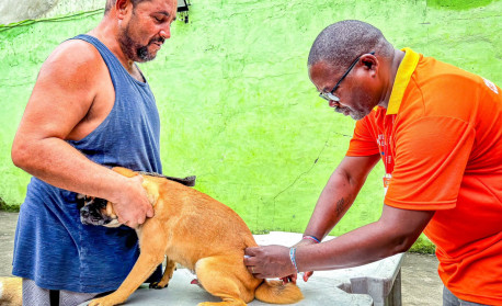 Belford Roxo promove Campanha de Vacinação Antirrábica em diversos bairros no próximo sábado