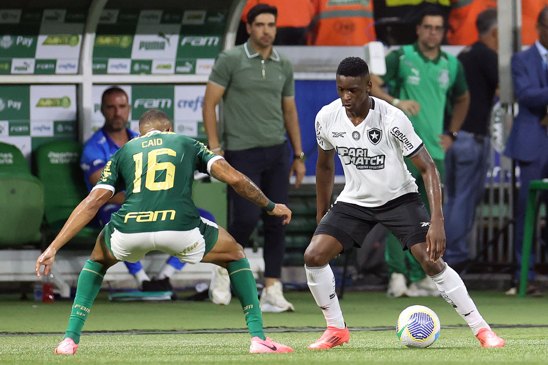 Botafogo e Palmeiras se enfrentaram em São Paulo - Vitor Silva / Botafogo