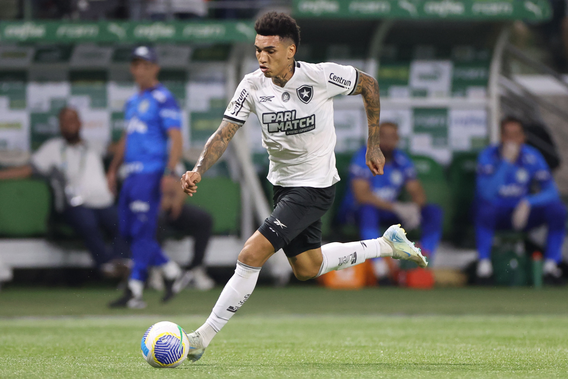 Botafogo e Palmeiras se enfrentaram em São Paulo - Vitor Silva / Botafogo