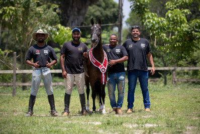 Parque Rural de Niterói recebe o I Leilão Elite com programação especial