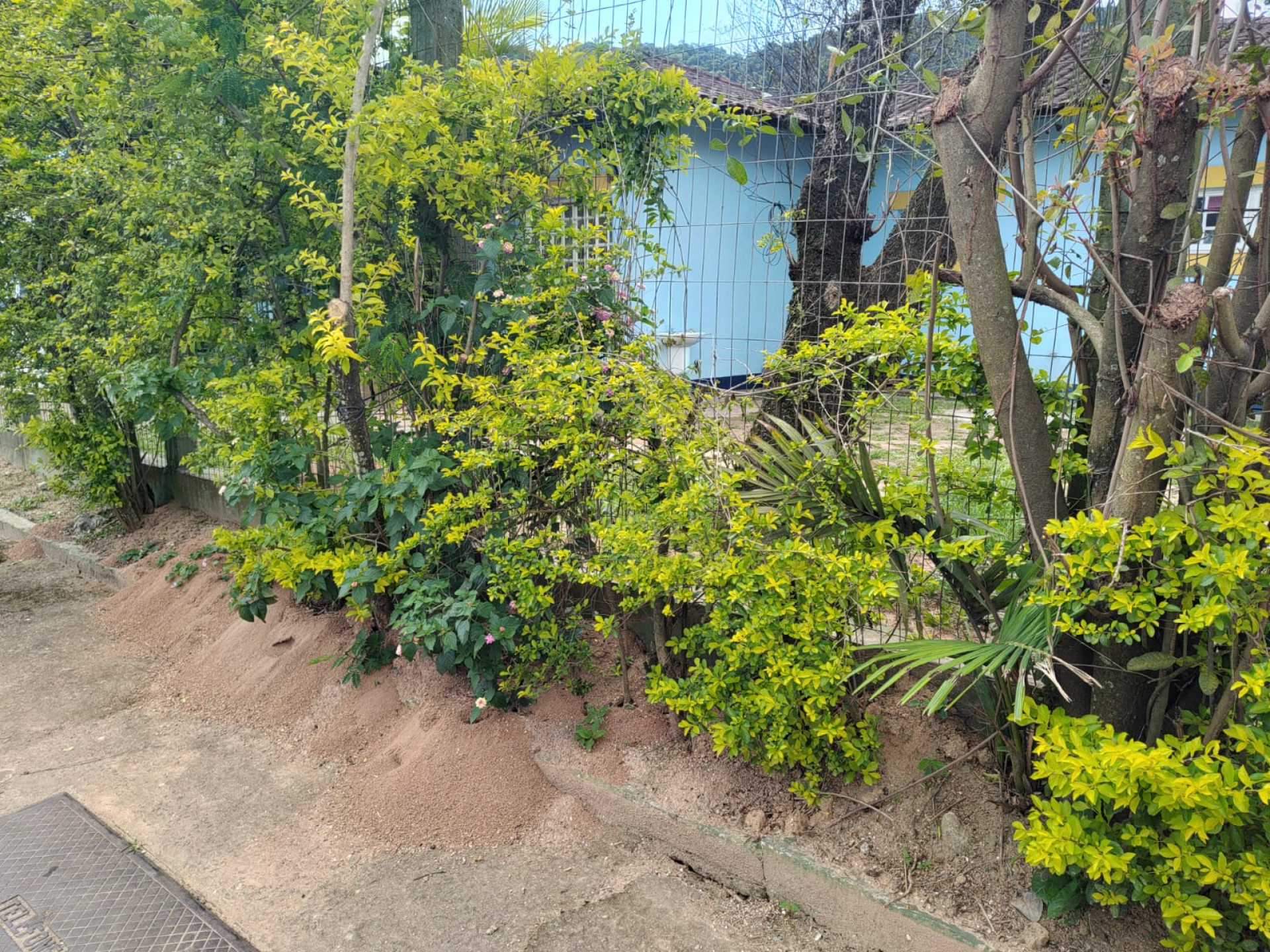 CEMEI Jair Landim de Almeida - Divulga&ccedil;&atilde;o