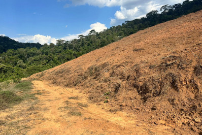 Polícia Ambiental flagra desmatamento ilegal