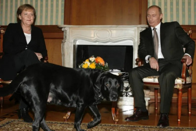 Putin afirma que não quis 'assustar' Merkel com cachorro
