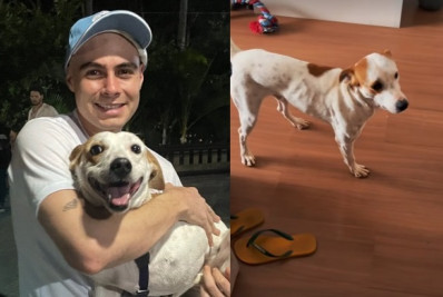 Tatá Werneck e Rafa Vitti adotam cachorro com deficiência