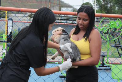 Nova Iguaçu inicia Vacinação Antirrábica Itinerante