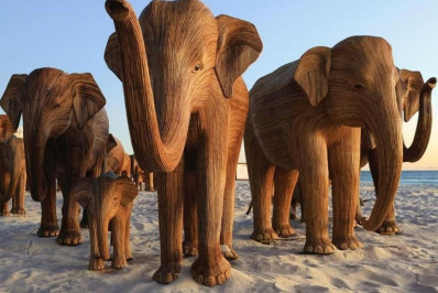 Casal é flagrado fazendo sexo em cima de escultura de elefante 