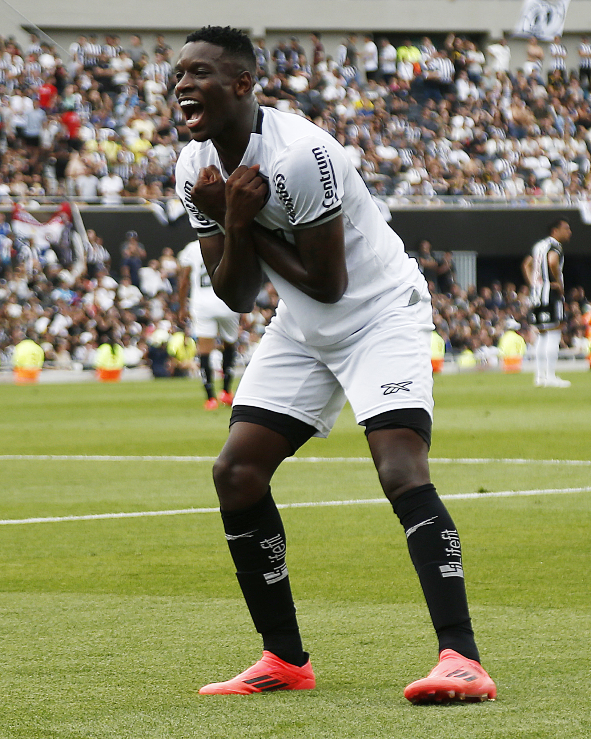 Campeão da Libertadores e do Brasileiro em 2024, Luiz Henrique recebeu homenagem em mural da artista Nath, no Nilton Santos