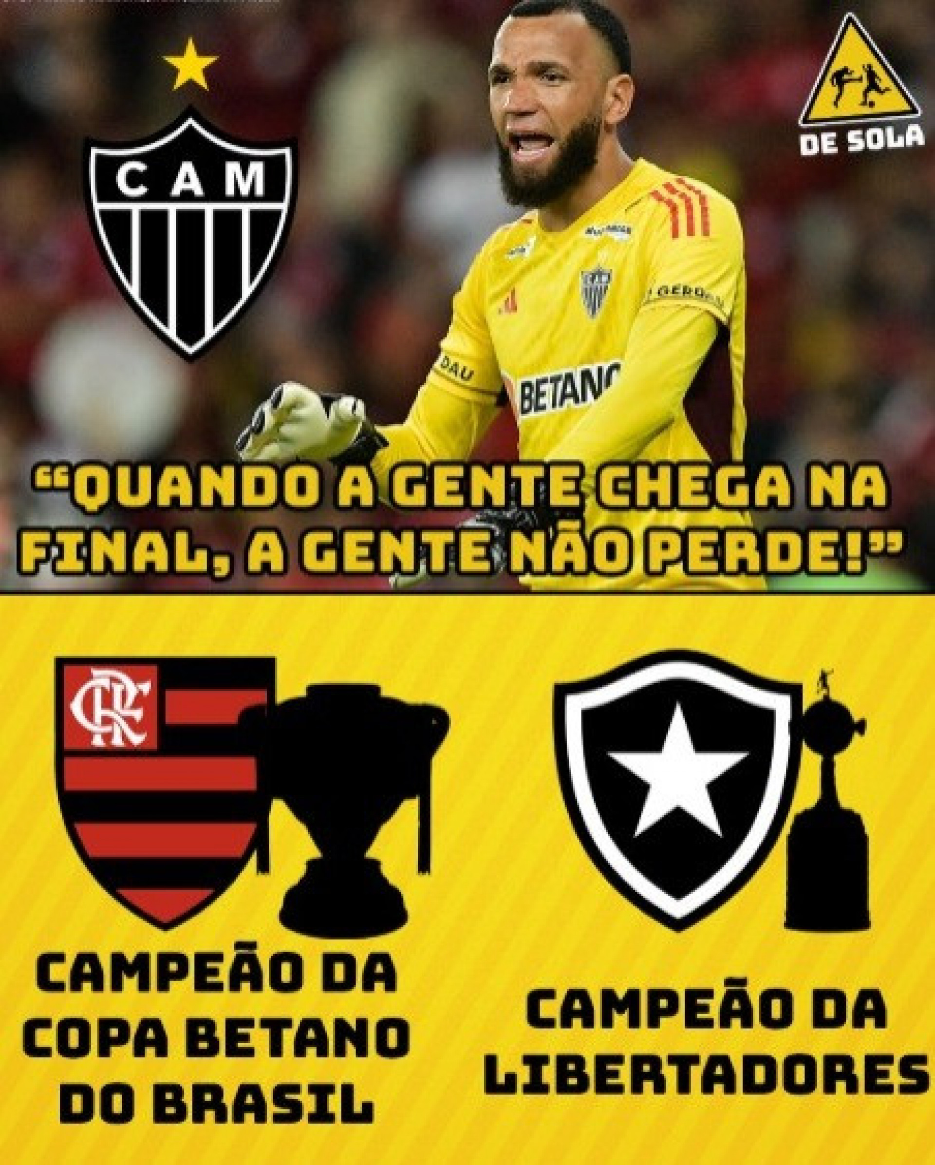 Memes: Torcedores do Botafogo celebram o título da Libertadores - Reprodução / Internet