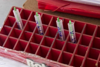 Grupo Pela Vidda faz ações na Praça Mauá no Dia Mundial de Luta contra a Aids