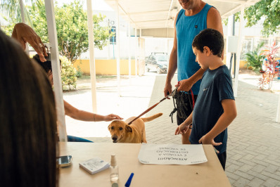 Saúde vacinou mais de 9 mil animais contra a raiva em Inoã e Itaipuaçu