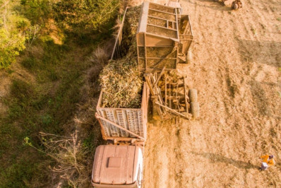 Empregos recuam com o fim de safra, mas município se mantém em alta