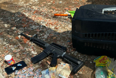 Operação em Macaé: Drogas, réplica de fuzil e animal silvestre são apreendidos