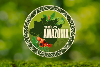 Lula edita decreto que cria Programa Selo Amazônia para certificação de serviços e produtos