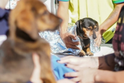 Defesa Civil de Caxias discute defesa e bem-estar dos animais