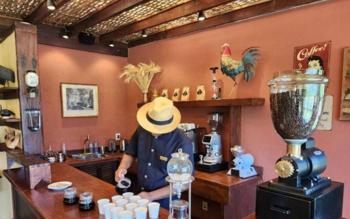 Com entrada gratuita, Replanta Vale acontece no próximo dia 12, a partir das 9h