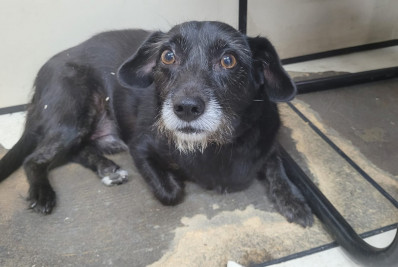 Comissário, um reforço de peso na 143ª DP