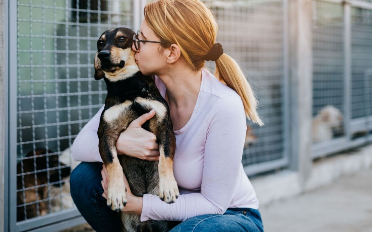 A compra de cachorros est&aacute; associada a diversas quest&otilde;es negativas (Imagem: hedgehog94 | Shutterstock)