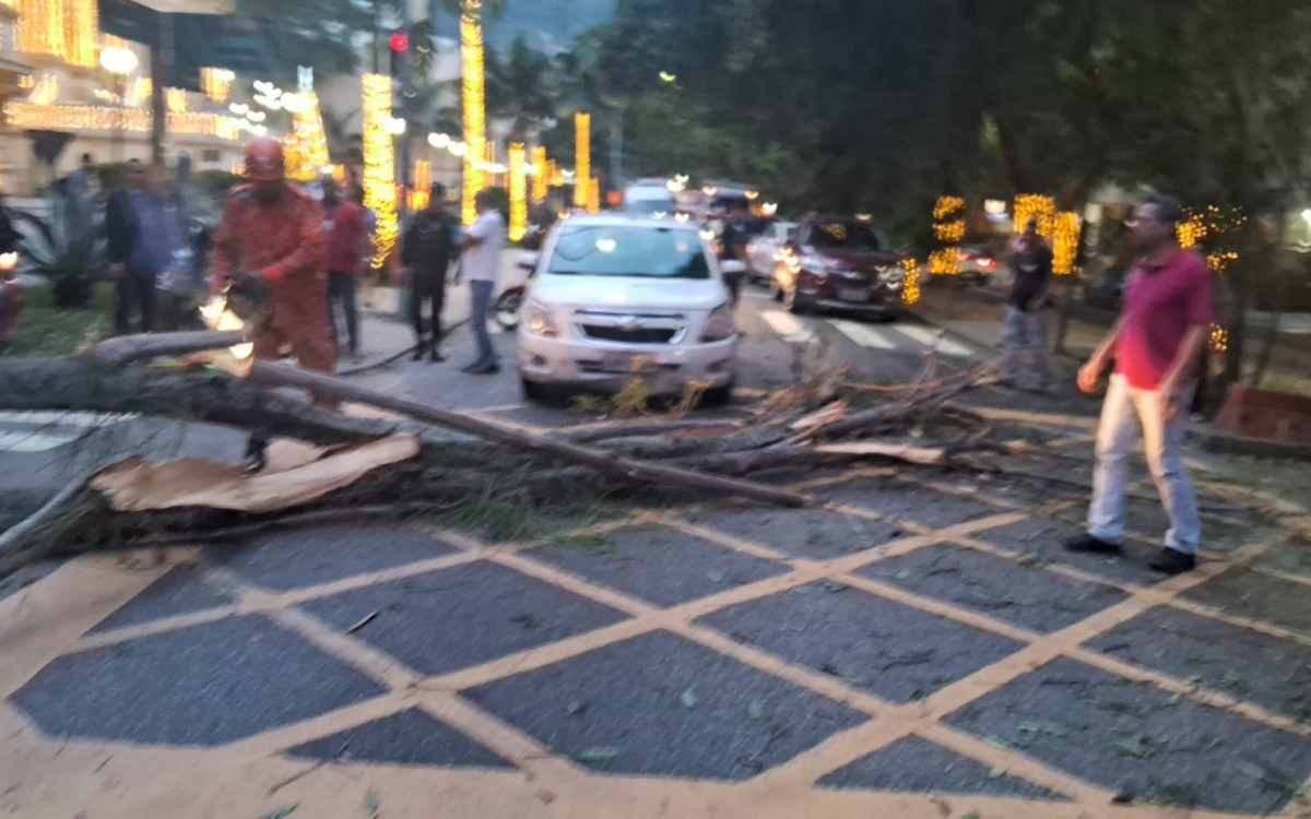 Uma árvore caiu na Rua Pinheiro Machado, no sentido Botafogo - Reprodução / COR