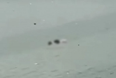 Moradores flagram corpo boiando na Lagoa de Jacarepaguá