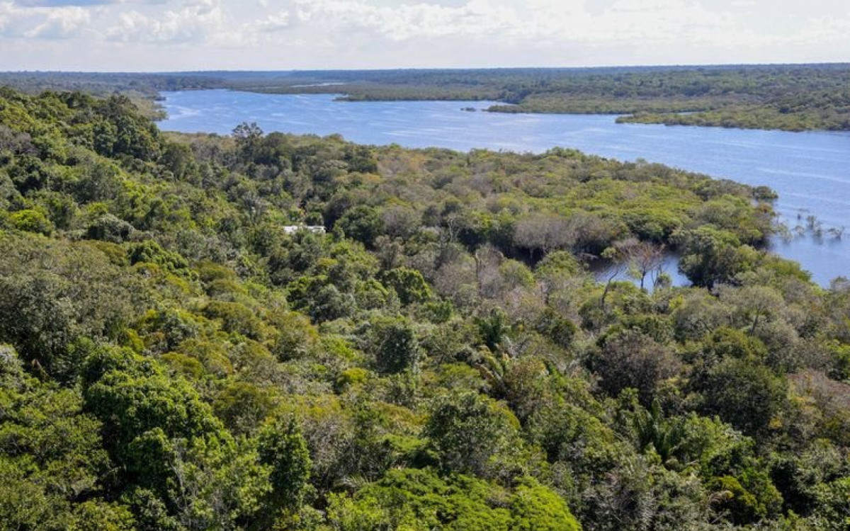 Amazônia é a maior floresta tropical do mundo - Fabio Rodrigues-Pozzebom/Agência Brasil