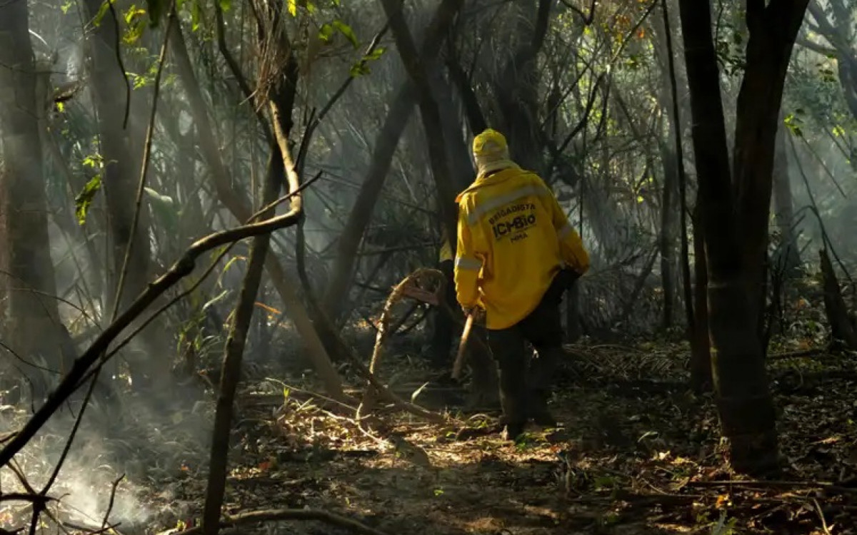 Amazônia tem o maior número de queimadas e incêndios em 17 anos