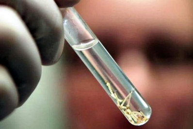 Macaé intensifica combate à dengue com Dia D Nacional neste sábado