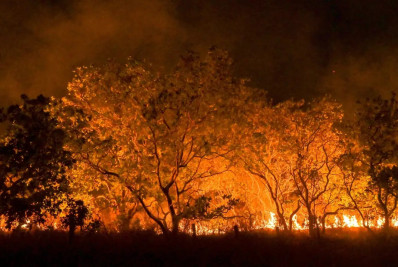 Dino cobra informações do governo de SP sobre combate às queimadas