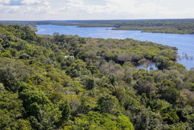 Dino dá prazo de 60 dias para que Pantanal e Amazônia integrem Sinaflor