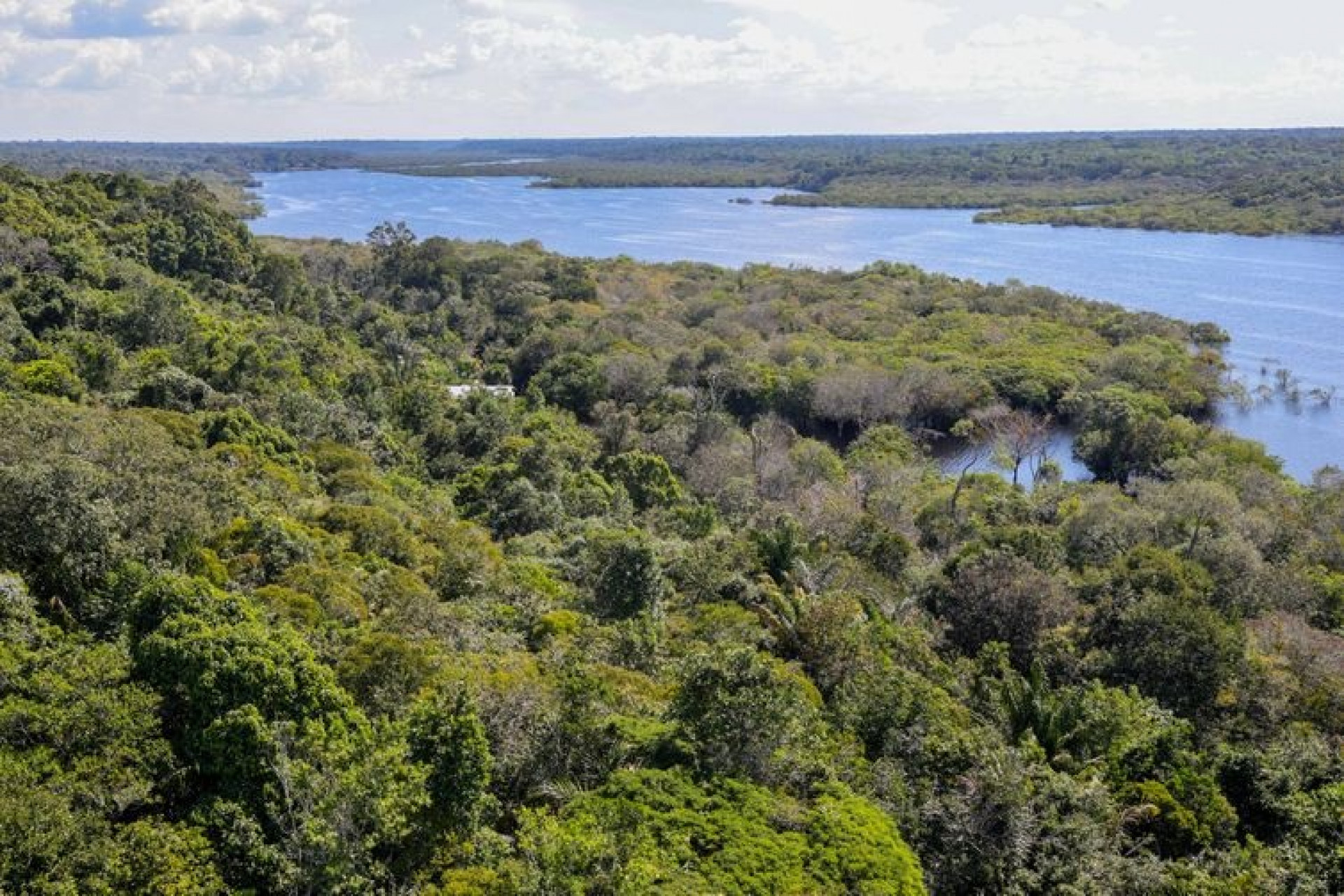 Amazônia é a maior floresta tropical do mundo - Fabio Rodrigues-Pozzebom/Agência Brasil