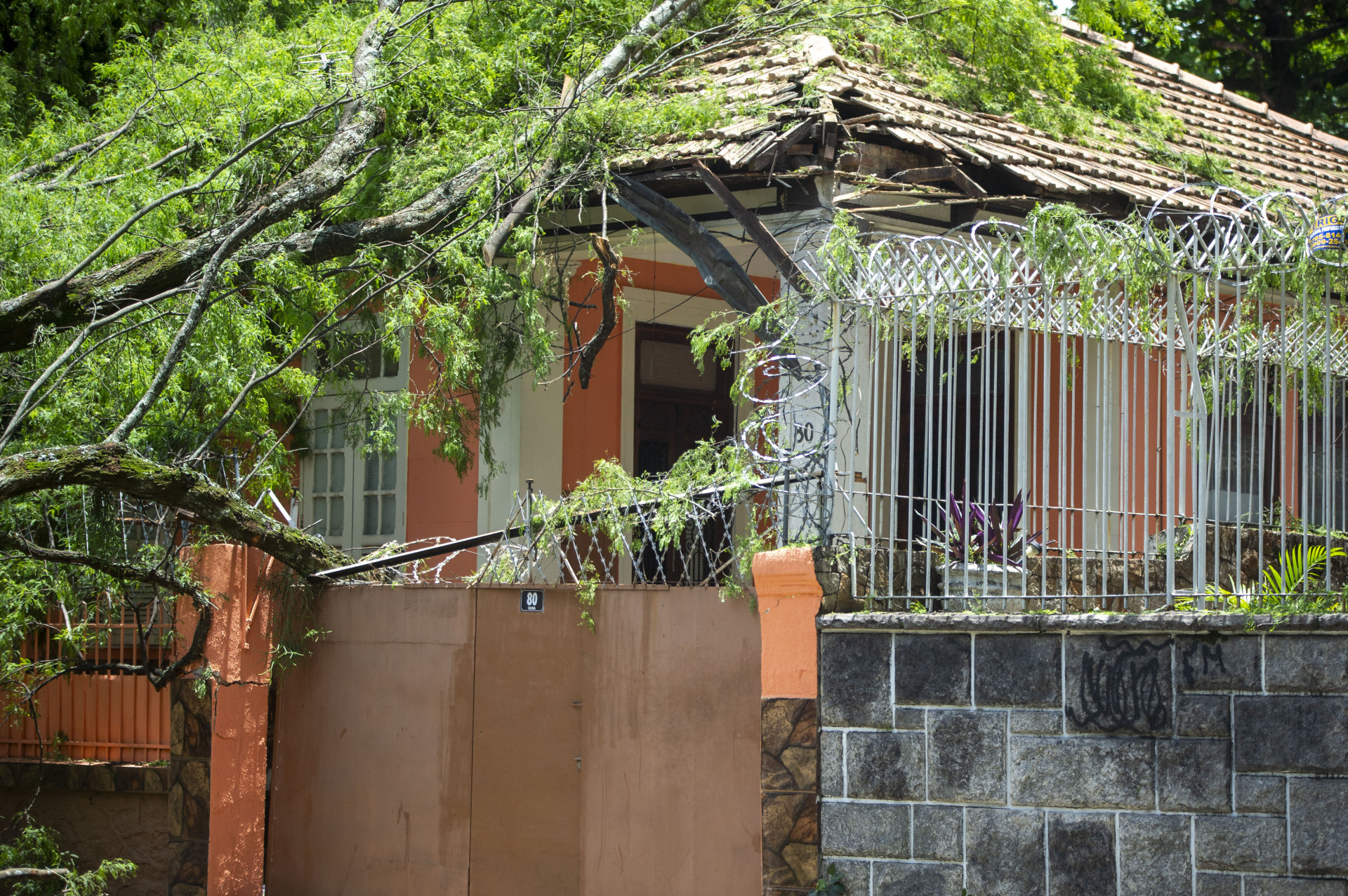 Queda de árvore no Grajaú, neste domingo(15). Foto: Armando Paiva/Agência O Dia - Armando Paiva/Agência O Dia
