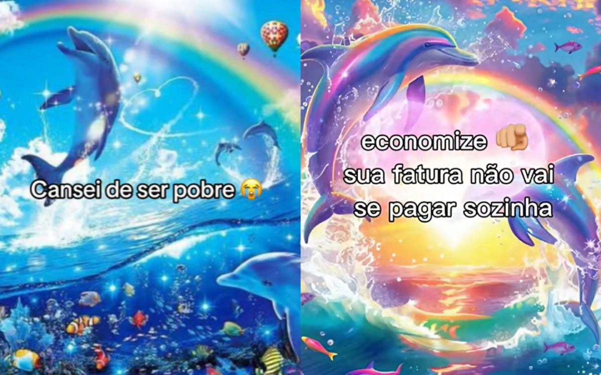 12 - \'Golfinhos ao som de Symphony\': outra música que virou meme foi a de Zara Larsson. Com um fundo fofo de golfinhos, os internautas aproveitaram para compartilhar alguns foras que, em tese, seriam pesados o bastante para pesar o clima