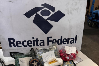 Receita Federal apreende R$ 850 mil e filhote de lagarto nos Correios