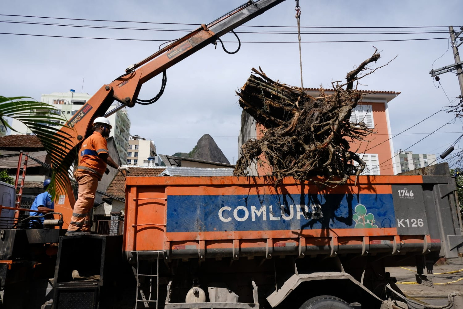 Comlurb faz a retirada de árvore que caiu na rua Gurupi, no Grajaú - Pedro Teixeira/ Agência O Dia
