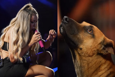 Taty Girl adota cachorro que viralizou 'assistindo' ao seu show